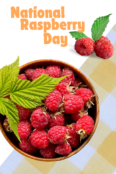 National Raspberry Tart Day branding graphic design national raspberry tart day raspberry