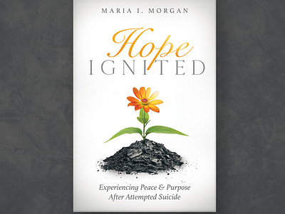 Hope Ignited Book Concept book cover photoshop