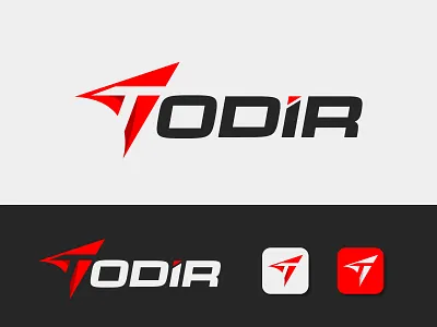 Todir - Export Import Business Logo Design ai branding branding design corporate logo export import business logo flying logo gradient graphic design io logo logo design logo designer logodesign logotype t logo ui
