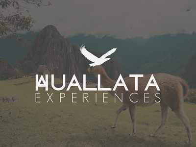 Huallata Experiences Visual Identity branding graphic design