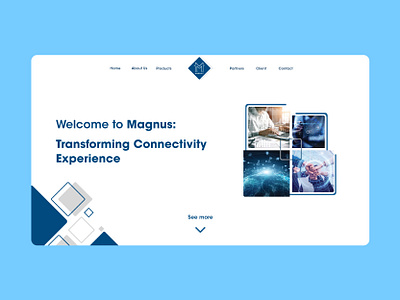 Web UI - Magnus Access Telematics graphic design ui