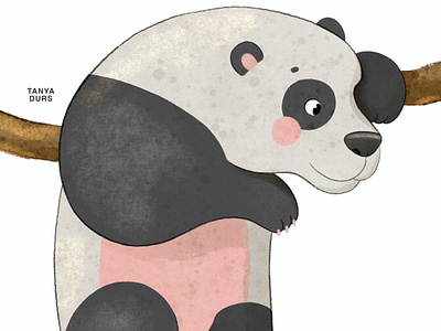 A panda character. Children book illustration. animalcharacterdesign animalillustration animals bookillustration chapterbook characterdesign childrenbook childrenbookillustration childrenillustration cuteanimals illustration jungle junglebook kidlit kidlitart panda pandacharacter pandaillustration picturebook picturebookillustration