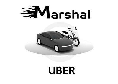 Landing Page Taxi Marshal branding ui