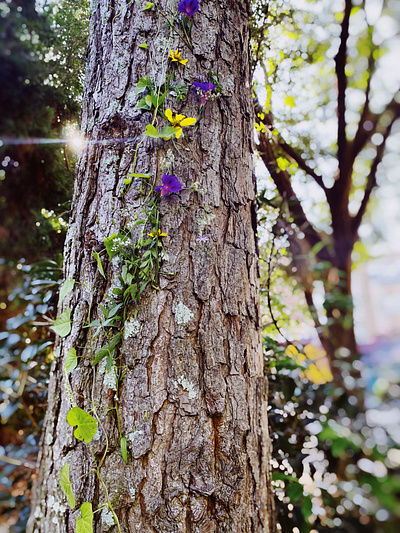 purple princess flower art botanical art earth eco art florist flower arrangement flower art flowers green art inspired magical natural nature nature art purple purple flowers recycled art tree art trees wildflowers wildlflower art