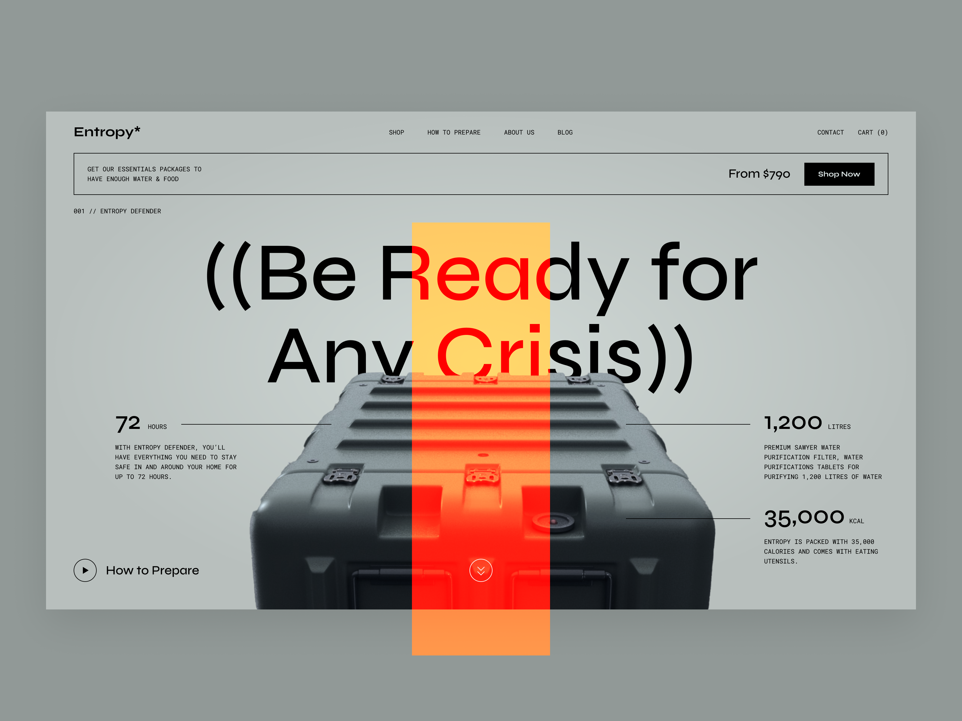 Tactical "Prepper" Ecommerce Website UI military minimalistic monochromatic simple tactical ui ux web website