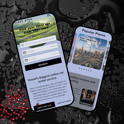 Fleet Ster - Car rental service app branding design logo ui ux