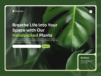 Plants Website Concept graphic design ui