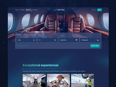 Private Aviation "SKYNA" 3d animation booking flight branding flights jets landing page logo luxury private aviation quote ui ux