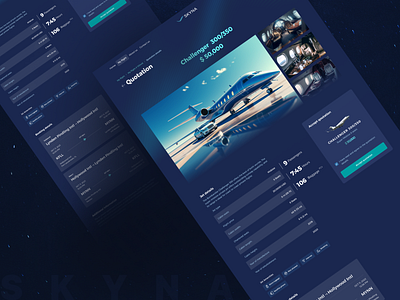 Private aviation "SKYNA" 3d animation booking flights branding jets landing page logo luxury motion graphics private aviation quote ui ux