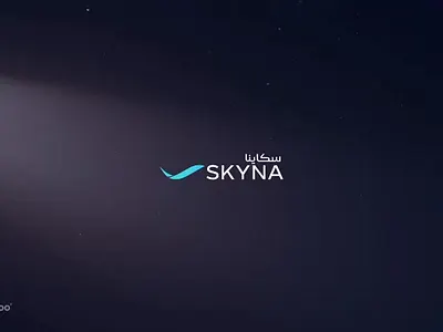 Private aviation "SKYNA" 3d animation booking flights branding flights graphic design jets landing page logo luxury motion graphics private aviation quote ui ux