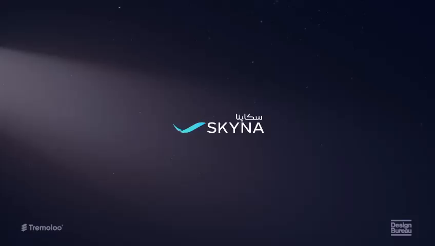 Private aviation "SKYNA"