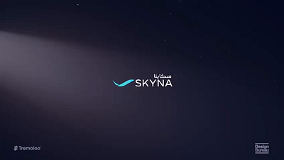 Private aviation "SKYNA" 3d animation booking flights branding flights graphic design jets landing page logo luxury motion graphics private aviation quote ui ux