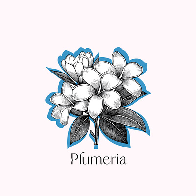 PLUMERIA TROPICAL ILLUSTRATION artistic boho branding design floral flower graphic design illustration label logo print sticker wall art