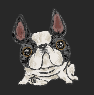 French bulldog relaxing animal character dog illustration pet puppy