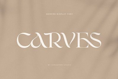 CARVES - Modern Display Font beautiful font beauty font botanical font classy font clean font display font font floral font lettering font logo font logotype font modern font retro font sans font sans serif font serif font slab font type font typeface font vintage font wedding font