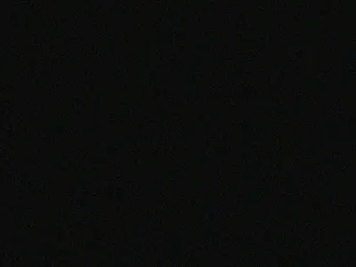 Congratulating Motion Poster branding congratulating dynamic motion motion graphics motion poster