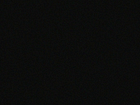 Example of Shot