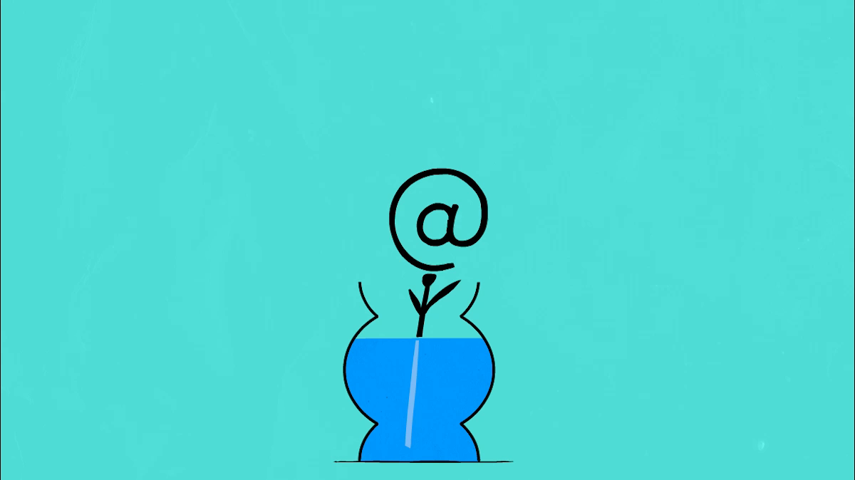 Example of Growing the networking plant