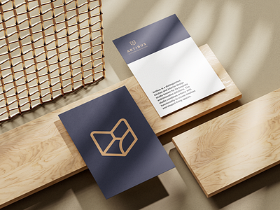 Logo Visualization for Artibus design designstudio elegant flat geometric graphicdesign icon logo logodesign minimal mockup