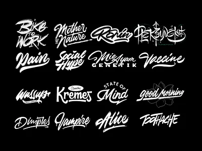 Lettering Logo apparel brand calligraphy clothing design font illustration lettering logo logotype typeface
