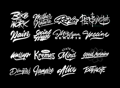 Lettering Logo apparel brand calligraphy clothing design font illustration lettering logo logotype typeface