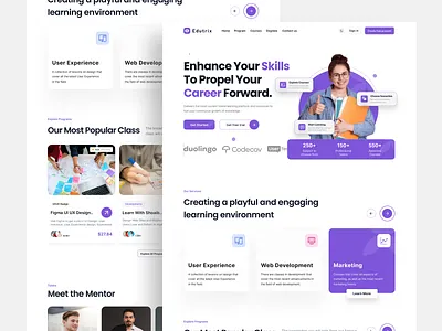 E-learning landing page e book website e learning landing page e learning website graphic design home page design landing page landing page design learning website website website design