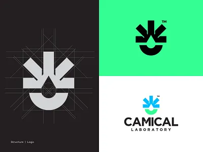 Logo Structure , Laboratory . 3d adobe branding camical concept creative design graphic design illustration lab laborotary liquide logo logo structure logotipo medical logo simple logo ui unique vector