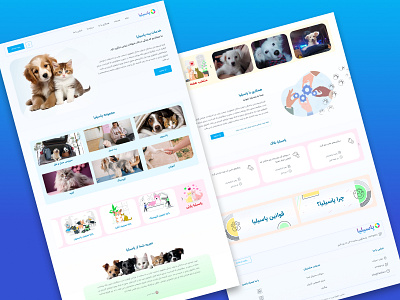 web Design - Pasilia Pet Services design illustration ui ux vector