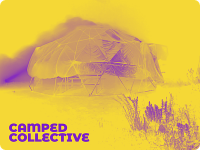 Camped Collective brand branding color festival graphic design music palette typography