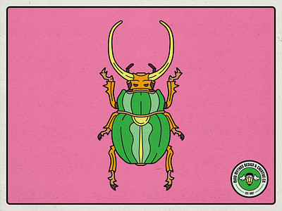 Beetle Illustration adobe illustrator design illustration line art