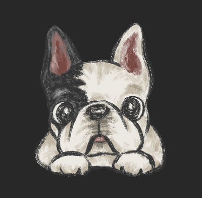 French bulldog resting animal character dog french bulldog illustration pet puppy