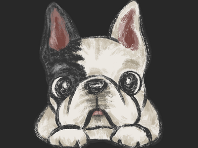 French bulldog resting animal character dog french bulldog illustration pet puppy