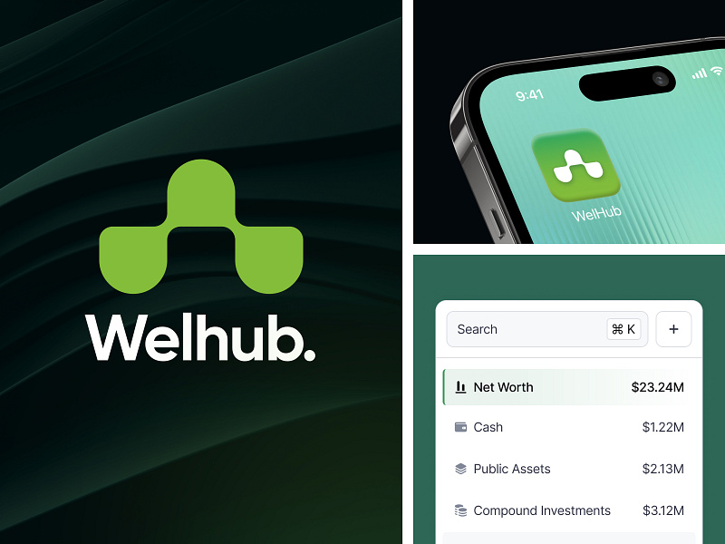 Welhub - Brand Identity app brand identity branding branding identity dashboard design finance financial fintech graphic design logo ui ux uxerflow visual identity wealth wealth management web web app web design