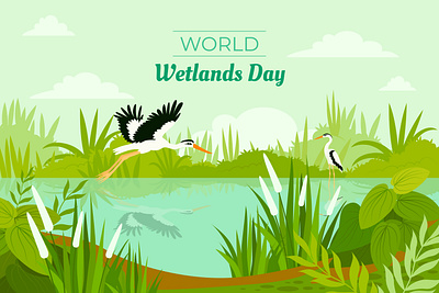 Beautiful wetlands day illustration 2d design graphic design illustration nature nature design vector