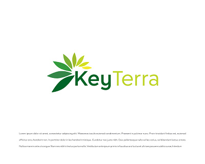 KeyTerra logoi branding design graphic design illustration logo typography vector