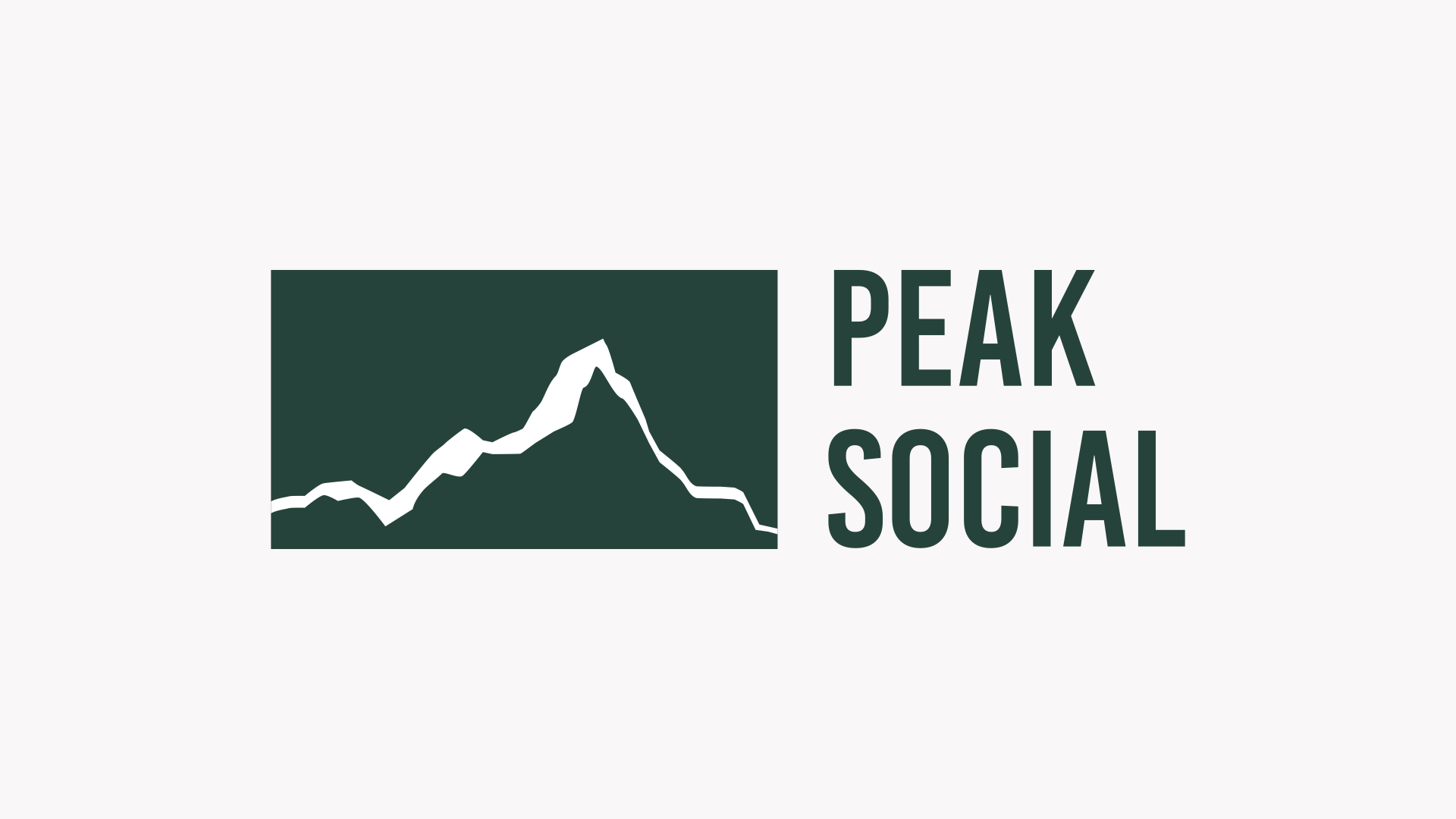 Example of PEAK Social Logo