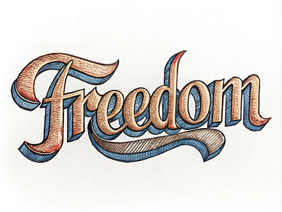 Freedom logotype design graphic design illustration logo