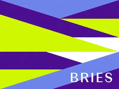 Bries Color Palette background brand identity branding color palette colors custom typography graphic design identity identity designer logo logo design logo designer packaging design pattern pattern design typography visual identity