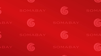 Top Performance Of Soma Bay - Video Editing egypt best properties montage properties real estate soma bay top performan 2023 top performance video editing