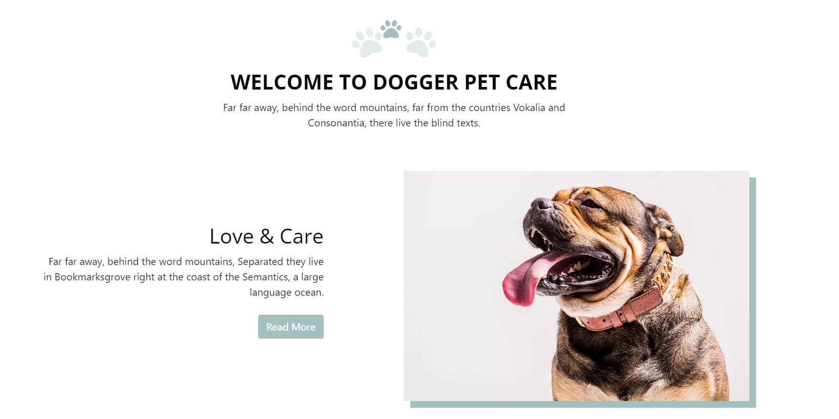 Pet Care Website bootstrap css design html javascript web design web development