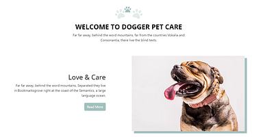 Pet Care Website bootstrap css design html javascript web design web development