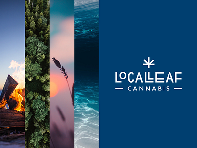 Local Leaf // Cannabis Branding art direction art director branding cannabis cannabis branding cannabis design cannabis logo design designer freelance art director freelance design freelance designer freelancer identity design logo logo design missouri missouri branding