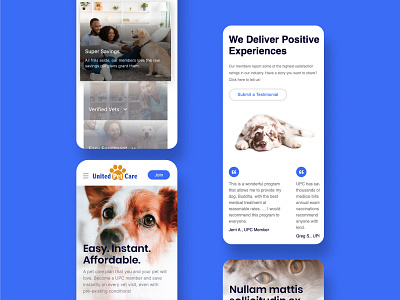 Pet Healthcare: mobile designs contemporary dog healthcare hero inviting mobile mobile design navigation pet care pet healthcare pets playful quote slider testimonials ui ux web web design website