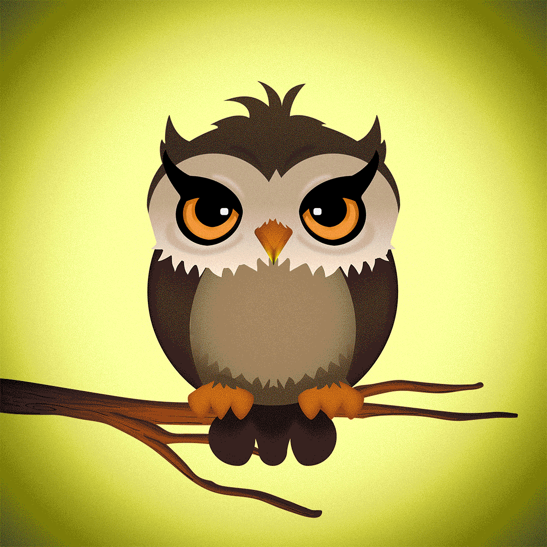 80s Hip hop Owls animation design digital illustration gif photoshop