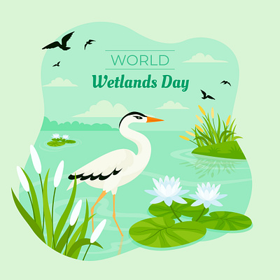 World Wetlands day birds design flower graphic design illustration vector wetlands