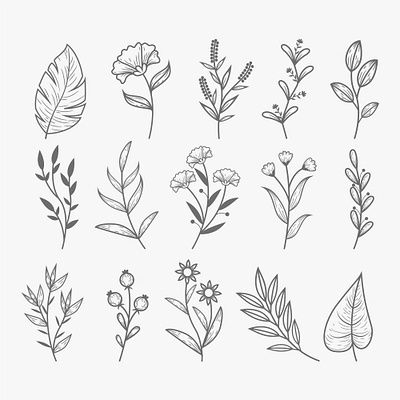 Hand drawn floral design elements floral graphic design hand drawn hand drawn style leaves outline style vector