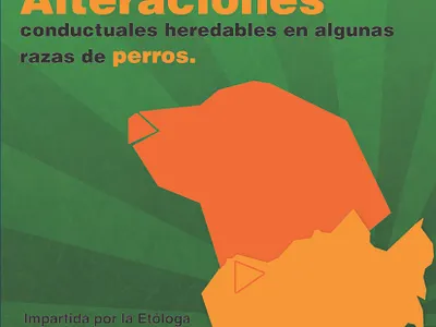 Cartel Universidad