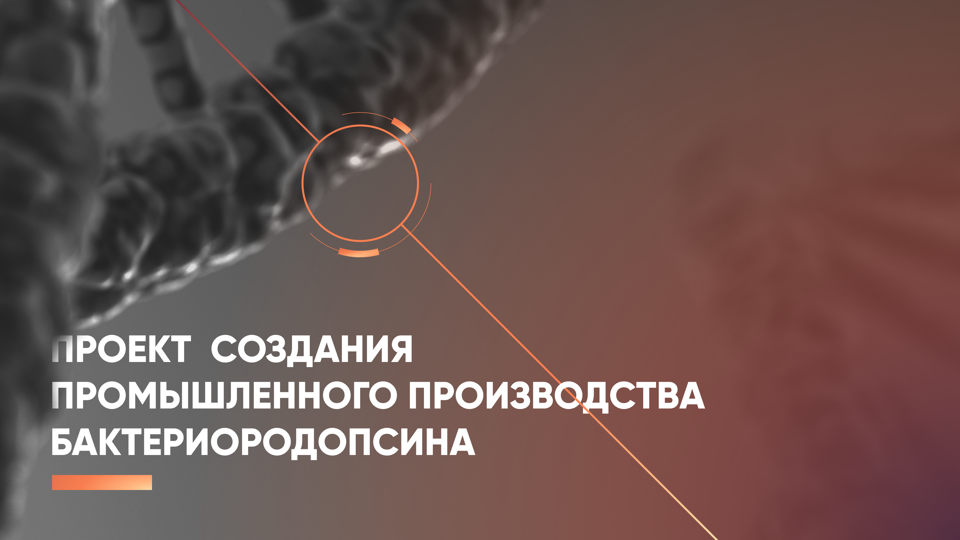 Bacteriorhodopsin Production figma graphic design info graphic presentation