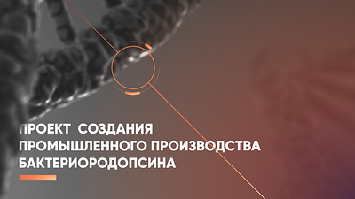 Bacteriorhodopsin Production figma graphic design info graphic presentation