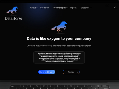 DataHorse Company Website UI animation branding graphic design logo motion graphics ui